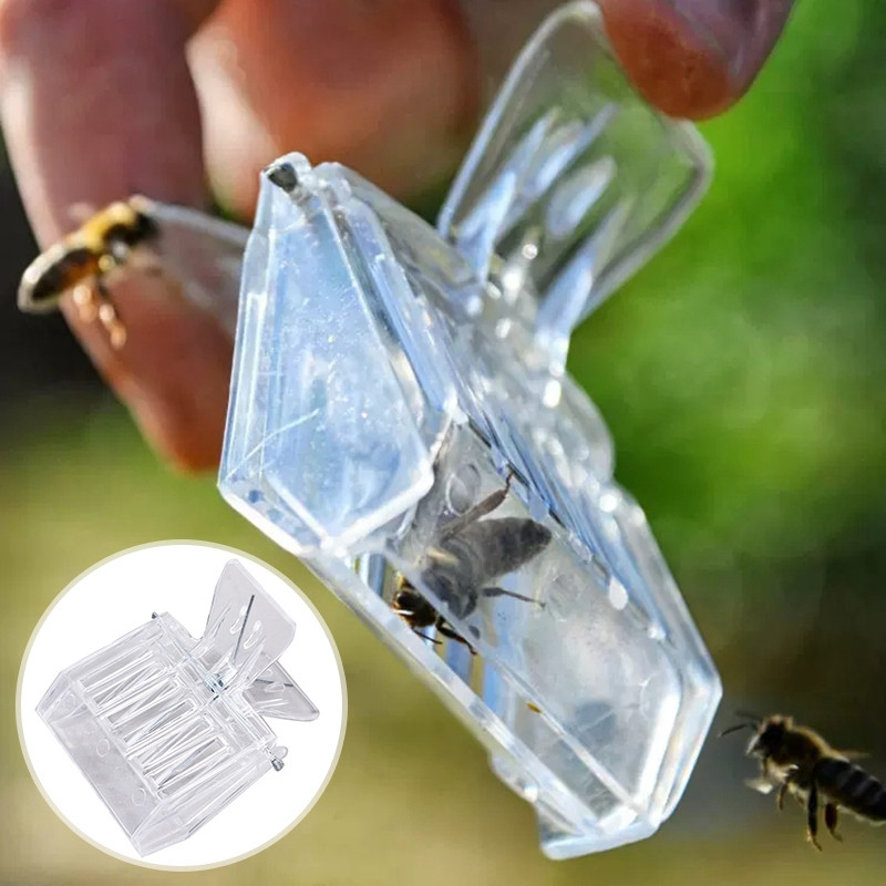 Διαφανής Παγίδα Queen Bee Πλαστικό άχρωμο κλουβί με κλιπ για αναπνεύσιμο δωμάτιο απομόνωσης που πιάνει μέλισσα Εργαλείο μελισσοκομίας