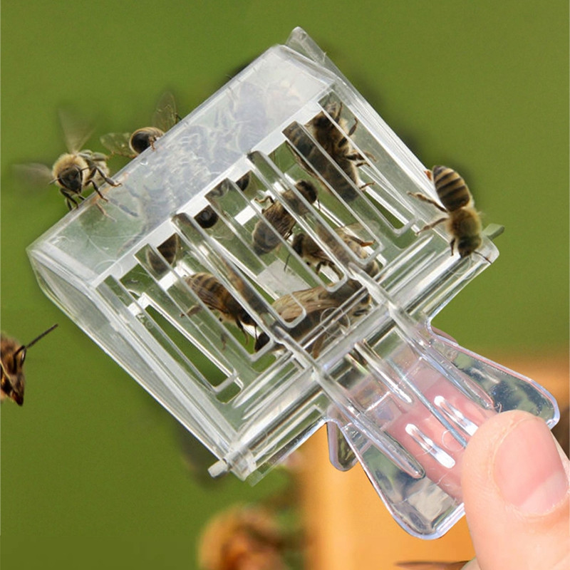 Διαφανής Παγίδα Queen Bee Πλαστικό άχρωμο κλουβί με κλιπ για αναπνεύσιμο δωμάτιο απομόνωσης που πιάνει μέλισσα Εργαλείο μελισσοκομίας