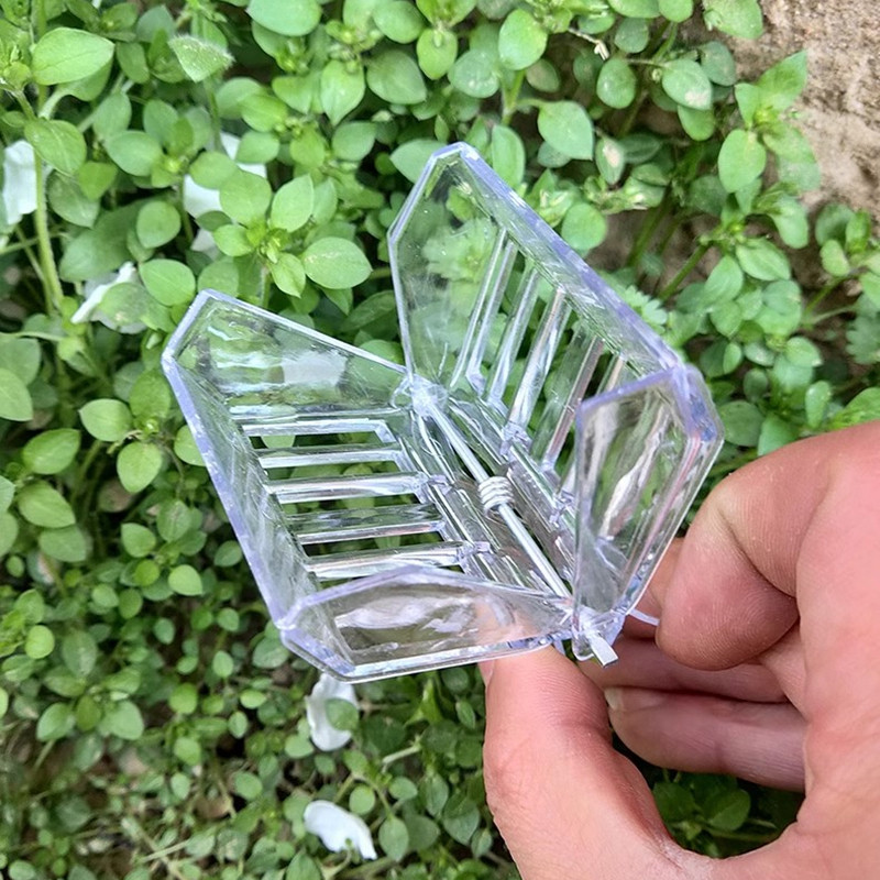 Διαφανής Παγίδα Queen Bee Πλαστικό άχρωμο κλουβί με κλιπ για αναπνεύσιμο δωμάτιο απομόνωσης που πιάνει μέλισσα Εργαλείο μελισσοκομίας