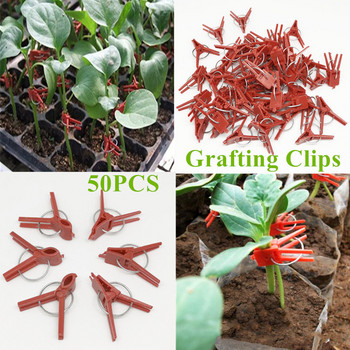 50 PCS Щипки за присаждане Издръжливи клетки за цветя и опори за растения Зеленчуци Кръгли плоски пластмасови метални селскостопански инструменти за многократна употреба