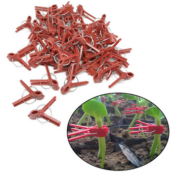 50PCS Plants Graft Clips Πλαστικά εργαλεία κήπου για αγγούρι μελιτζάνα καρπούζι Στρογγυλό στόμα Επίπεδο στόμα Αντιπτωτικό σφιγκτήρα