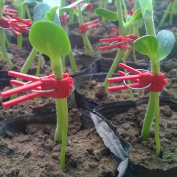 Garden Graft Clip Πλαστικά κλιπ στήριξης φυτών Αντιπτωτικοί σφιγκτήρες για φυτά Vine Garden Greenhouse Vegetables Καρπούζι U26
