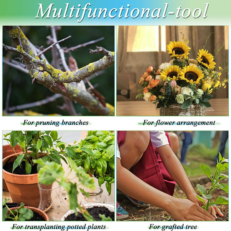 Skiepijimo įrankiai Sulankstomas skiepijimo genėjimo peilis Profesionalus sodo sulankstomas skiepijimo peilis genėjimo sodinukų medžio pjovimo įrankis