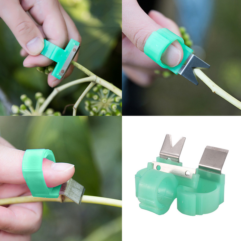 Vaisių rinktuvas Nerūdijančio plieno peilis Žiedas Žiedas Vaisių skynimo Peilis Sodas Pomidorai Agurkai Apelsinų derliaus Vaisių skynimo įrankiai