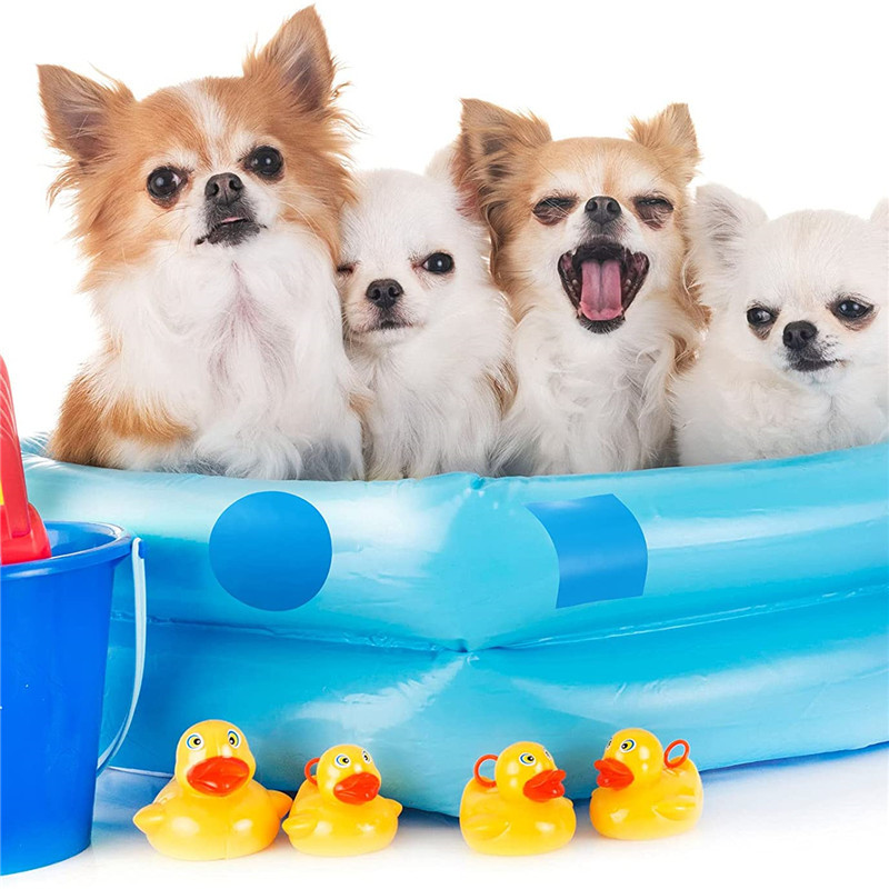 Baseino remonto klijai Daugiafunkcis remonto pleistras Guminės valties taisymas pripučiamų valčių lipdukai Plaukimo baseino priedai