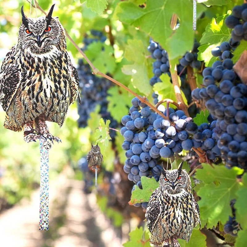 Linnutõrjevahend Aia emulsioon Öökull linnupeletus Rippuv akrüül linnutõrjevahend Tuvid rähnitõrje aiatarbed