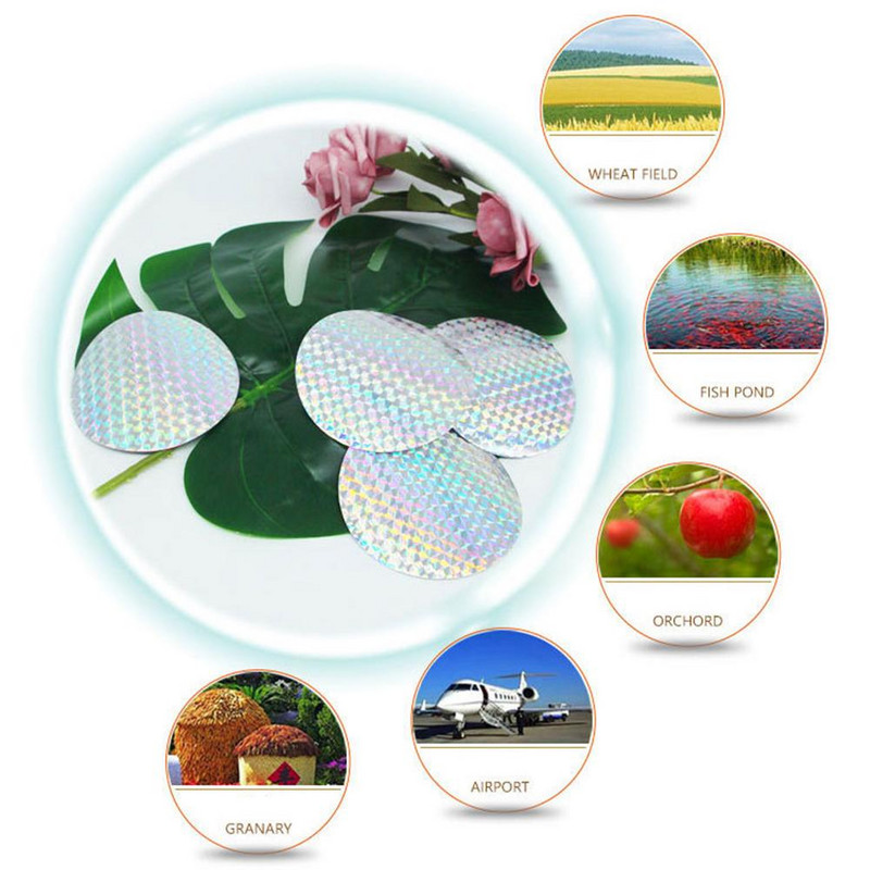 10/20 tk Öökull peletavad linnud eemale linnutõrjeseade rähnile tuvi rippuv helkurpeletus linnutõrjekleebis