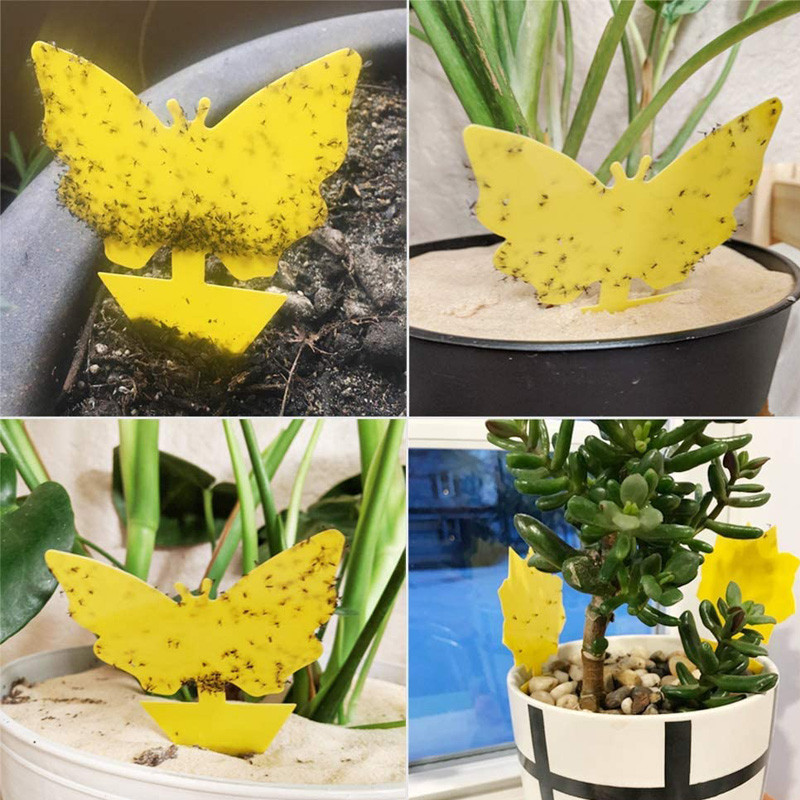 2-10 vnt lipni vabzdžių gaudyklė dvipusė geltona plastikinė vabzdžių lipni lenta augalų kenkėjų kontrolės gaudyklė sodo reikmenys