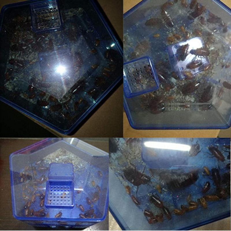 Csiga csótányfogó Biztonságos, nem mérgező csótányok ellen Szúnyogölő zuhanásgátló, nagy méretű riasztó otthoni konyhához