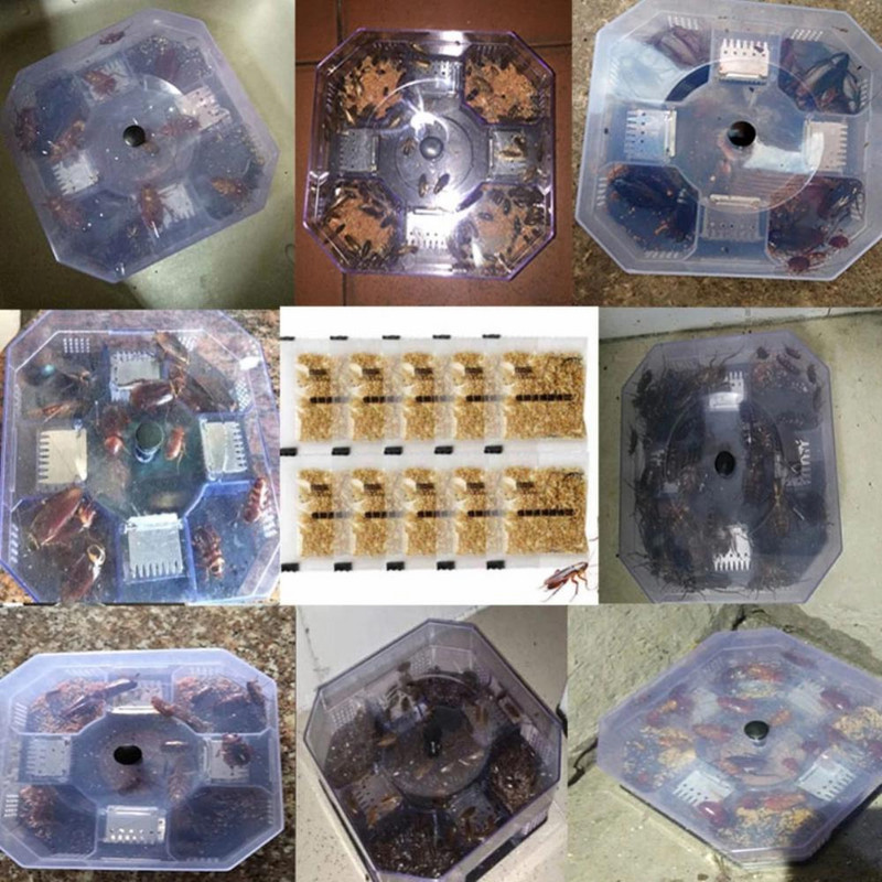 Κατσαρίδα Traps Box Φυσική σύλληψη Επαναχρησιμοποιήσιμη Υψηλής Ποιότητας Αποτελεσματική Οικιακή Χονδρική Νέα Κατσαρίδα Bug Roach Catcher Hot