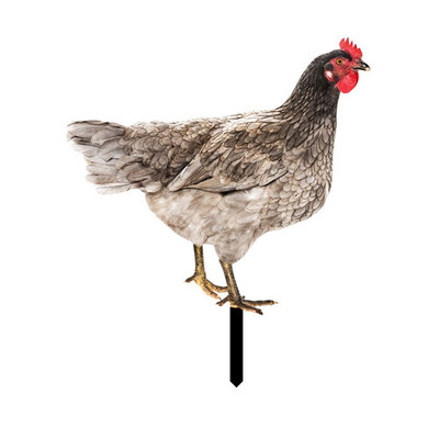 Akrilo tikroviškos gaidžio statulos dvipusės spaudos skulptūros vištienos dekoracijos sodo papuošalai lauko kiemo menas