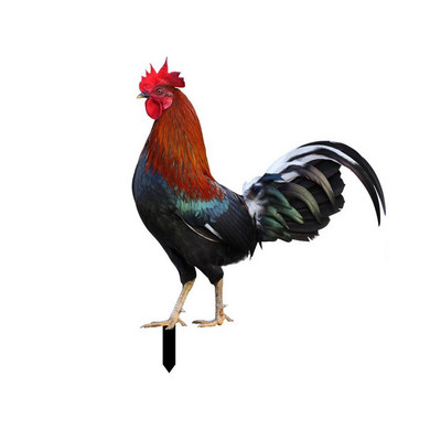 Akrilo tikroviškos gaidžio statulos dvipusės spaudos skulptūros vištienos dekoracijos sodo papuošalai lauko kiemo menas