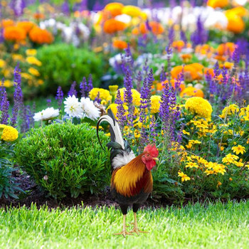 Δισδιάστατο ακρυλικό γλυπτό κήπου Κόκορας ντεκόρ Στολίδι κόκορας Ανθεκτικό στις καιρικές συνθήκες Ζώο Κήπος Κότα Ειδώλιο Κήπος άγαλμα κοτόπουλου
