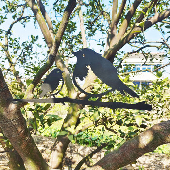 Творческа статуя на птици от ковано желязо Градинско изкуство Метални птици Дворно дърво Декорация за домашна градина Заден двор Клон на дърво