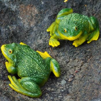 Фигурки на животни от жаба от смола Градински орнаменти Миниатюрни фигурки на открито Добре дошли Art Yard Home Decor