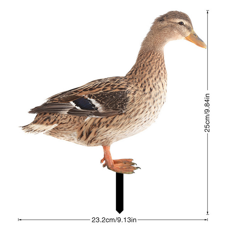 Akrüülpeegel Aiakuju Loomad Figuurid Vaigust kujudekaunistused Loomad Panus Rõdu Parditalu Aiakaunistus