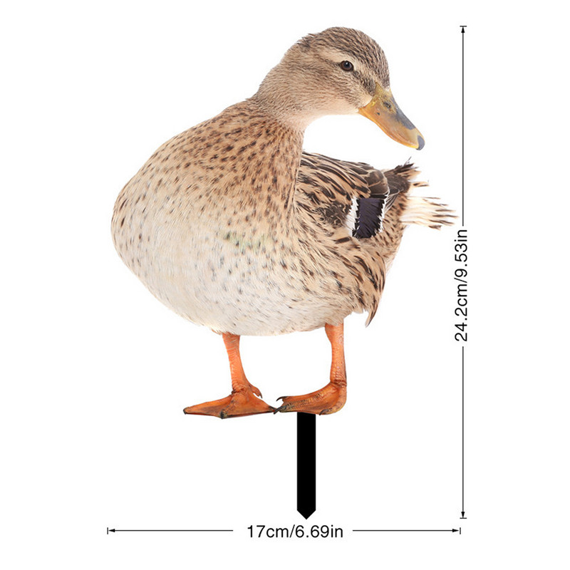 Akrüülpeegel Aiakuju Loomad Figuurid Vaigust kujudekaunistused Loomad Panus Rõdu Parditalu Aiakaunistus