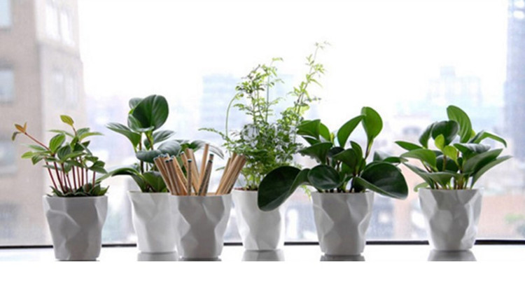 3 színes toll ceruza tű zselés toll golyós toll asztali rendszerező írószer tartó virágcserep asztali tárolás otthoni tárolás