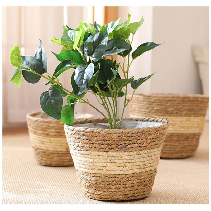 Austs salmu grozs Pīts augu pods Netīrās veļas grozs Rotangpalmas jūraszāles vēders Dārza podi Puķu podi Augu grozam Augļi