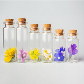 5Gb Mini mazas stikla pudeles ar caurspīdīgu korķa aizbāzni Ziemassvētku vēlmju pudeles flakoni svētku kāzu mājas dekorēšanai