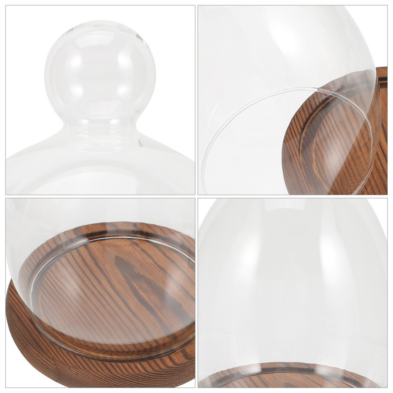 Olu stikla pārsegs terārija dekors mikro ainava stikla kupols konservēti ziedi stikla zvana burka koka caurspīdīga stikla displeja kupols