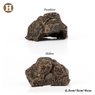 Miniatūra pasaka dārzs priedes Mini augi Leļļu namiņa dekors Aksesuāri Dārzkopība Ornaments Jauki Miniatūra