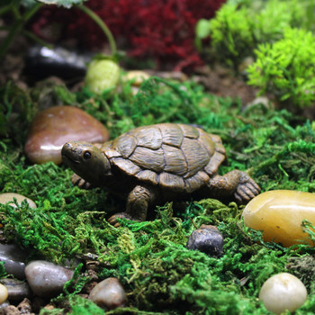 Simulation Tortoise Mini Turtle Micro Landscape Resin Craft Ornaments Gardening Moss Flower Pot succulents Διακόσμηση γραφείου σπιτιού