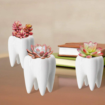 Забавни настолни керамични фигурки във формата на зъб Саксия Домашно обзавеждане Сладък сочен кактус Саксия за цветя Декорация на ваза за маса