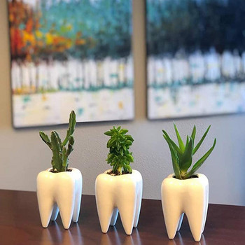 Забавни настолни керамични фигурки във формата на зъб Саксия Домашно обзавеждане Сладък сочен кактус Саксия за цветя Декорация на ваза за маса