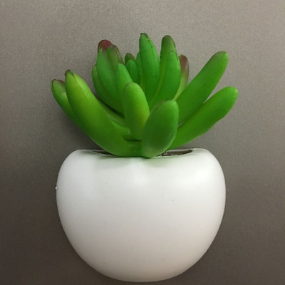 Simulācijas augu ledusskapja magnēti Bonsai sulīgo augu magnētu poga podos augu ledusskapja uzlīme Mājas dekorēšana