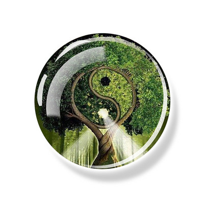 Dzīvības koks Ledusskapja magnēts 30 MM Yin Yang stikla kabošona magnētiskais ledusskapis Uzlīmes Baltā tāfele Ziņojumu piezīmju turētājs Mājas dekors