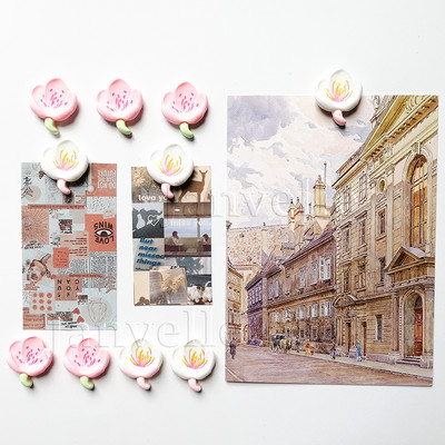 10 vnt mielų gėlių šaldytuvo magnetai Rožiniai maži magnetiniai nuotraukų lipdukai Mini magnetai šaldytuvo dekoravimui