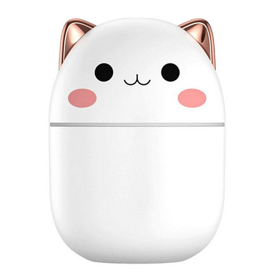 250 ml USB oro drėkintuvas Mini nešiojamas aromatinis eterinių aliejų difuzorius USB rūko purškiamas aromaterapija su LED naktine lempa namų automobiliui