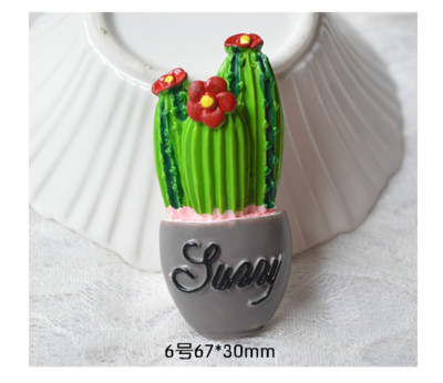 Χαριτωμένο χυμώδες λουλούδι κάκτου Ψυγείο Magnet Creative Resin Διακόσμηση σπιτιού