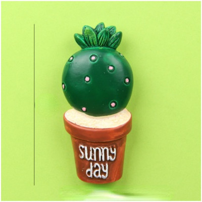 Χαριτωμένο χυμώδες λουλούδι κάκτου Ψυγείο Magnet Creative Resin Διακόσμηση σπιτιού
