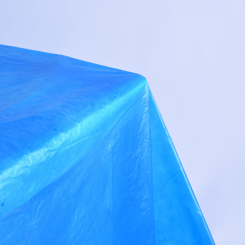 Sünnipäevapeokaunistus Laudlina Elutuba Täpiline laudlina Perehotellide Reisimine Ühekordselt kasutatav laudlina Puhastuskaunistus