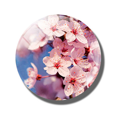 Gėlių 30 mm stiklinis šaldytuvo magnetas rožių kiaulpienių aguonų lotoso vyšnių žiedų orchidėjų margalapių lenta šaldytuvo magnetai