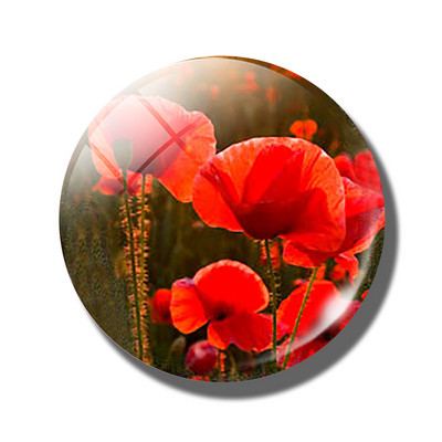 Gėlių 30 mm stiklinis šaldytuvo magnetas rožių kiaulpienių aguonų lotoso vyšnių žiedų orchidėjų margalapių lenta šaldytuvo magnetai