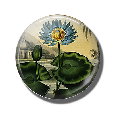 Gėlių 30 mm stiklinis šaldytuvo magnetas rožių kiaulpienių aguonų lotoso vyšnių žiedų orchidėjų margalapių lenta šaldytuvo magnetai