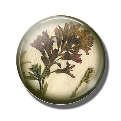 Gėlių 30 mm stiklinis šaldytuvo magnetas rožių kiaulpienių aguonų lotoso vyšnių žiedų orchidėjų margalapių lenta šaldytuvo magnetai