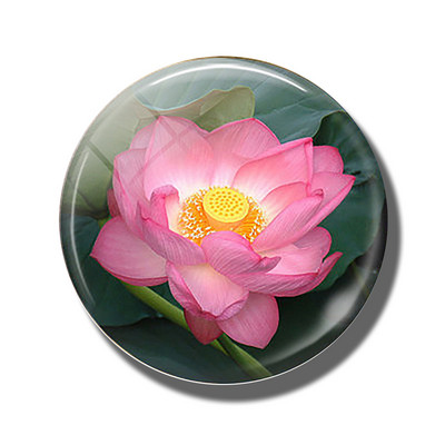 Gėlių 30 mm stiklinis šaldytuvo magnetas rožių kiaulpienių aguonų lotoso vyšnių žiedų orchidėjų margalapių lenta šaldytuvo magnetai