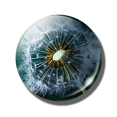 Gėlių 30 mm stiklinis šaldytuvo magnetas rožių kiaulpienių aguonų lotoso vyšnių žiedų orchidėjų margalapių lenta šaldytuvo magnetai