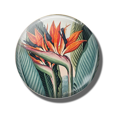 Gėlių 30 mm stiklinis šaldytuvo magnetas rožių kiaulpienių aguonų lotoso vyšnių žiedų orchidėjų margalapių lenta šaldytuvo magnetai