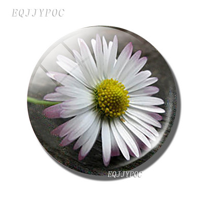 Gėlių 30 mm stiklinis šaldytuvo magnetas rožių kiaulpienių aguonų lotoso vyšnių žiedų orchidėjų margalapių lenta šaldytuvo magnetai