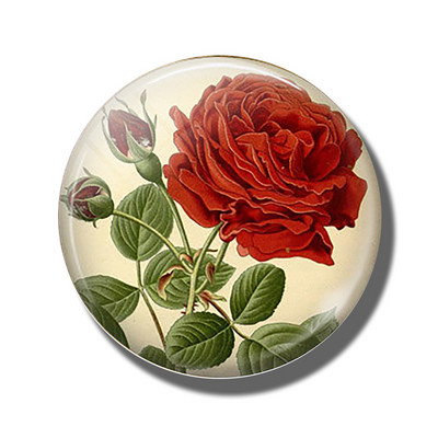 Gėlių 30 mm stiklinis šaldytuvo magnetas rožių kiaulpienių aguonų lotoso vyšnių žiedų orchidėjų margalapių lenta šaldytuvo magnetai