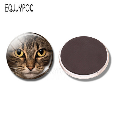 Aranyos macska dekoratív hűtőmágnesek Lovely Animal Lucky Cat Couple Cat 30MM Hűtőmágnes Macska Üzenőfal otthoni dekoráció