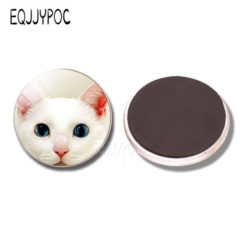 Aranyos macska dekoratív hűtőmágnesek Lovely Animal Lucky Cat Couple Cat 30MM Hűtőmágnes Macska Üzenőfal otthoni dekoráció