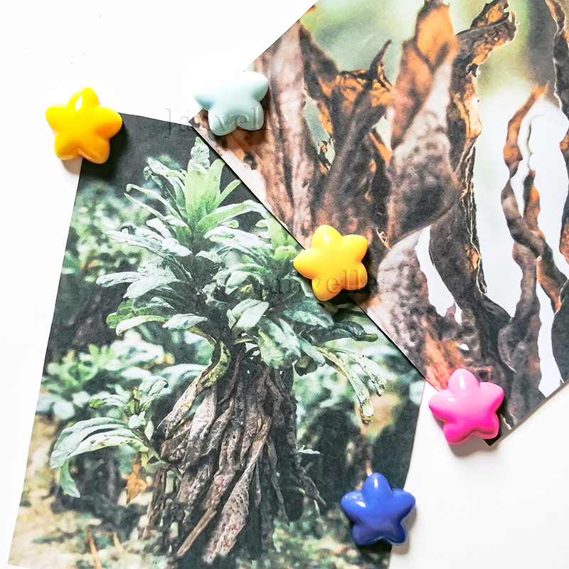 10 gab Krāsaini Zvaigžņu ledusskapja magnēti Mazas magnētiskas uzlīmes ledusskapim 2CM dekoratīvs sīks magnētu komplekts foto sienu dekorēšanai