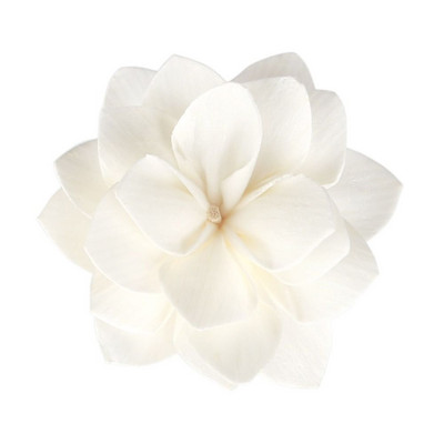 Värvitav naturaalne käsitsi valmistatud parfüüm elutuba koduks Tongcao Flower aromaatsed viirukihajutipulgad Kuivatatud lilled