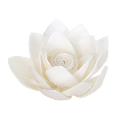 Värvitav naturaalne käsitsi valmistatud parfüüm elutuba koduks Tongcao Flower aromaatsed viirukihajutipulgad Kuivatatud lilled